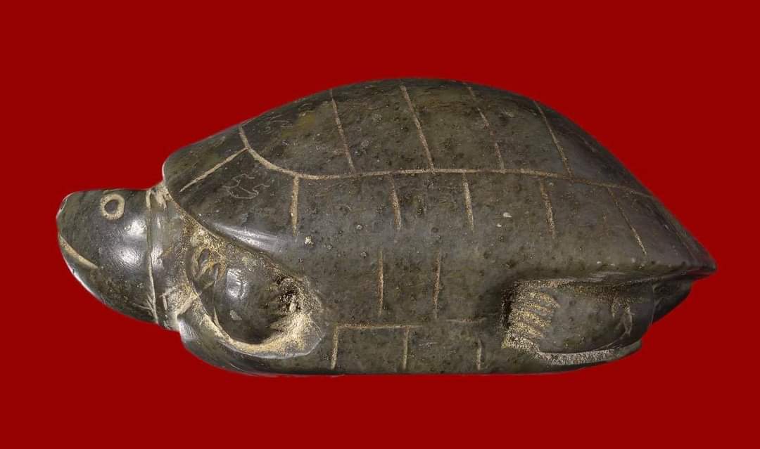 FB_IMG_1663997357186