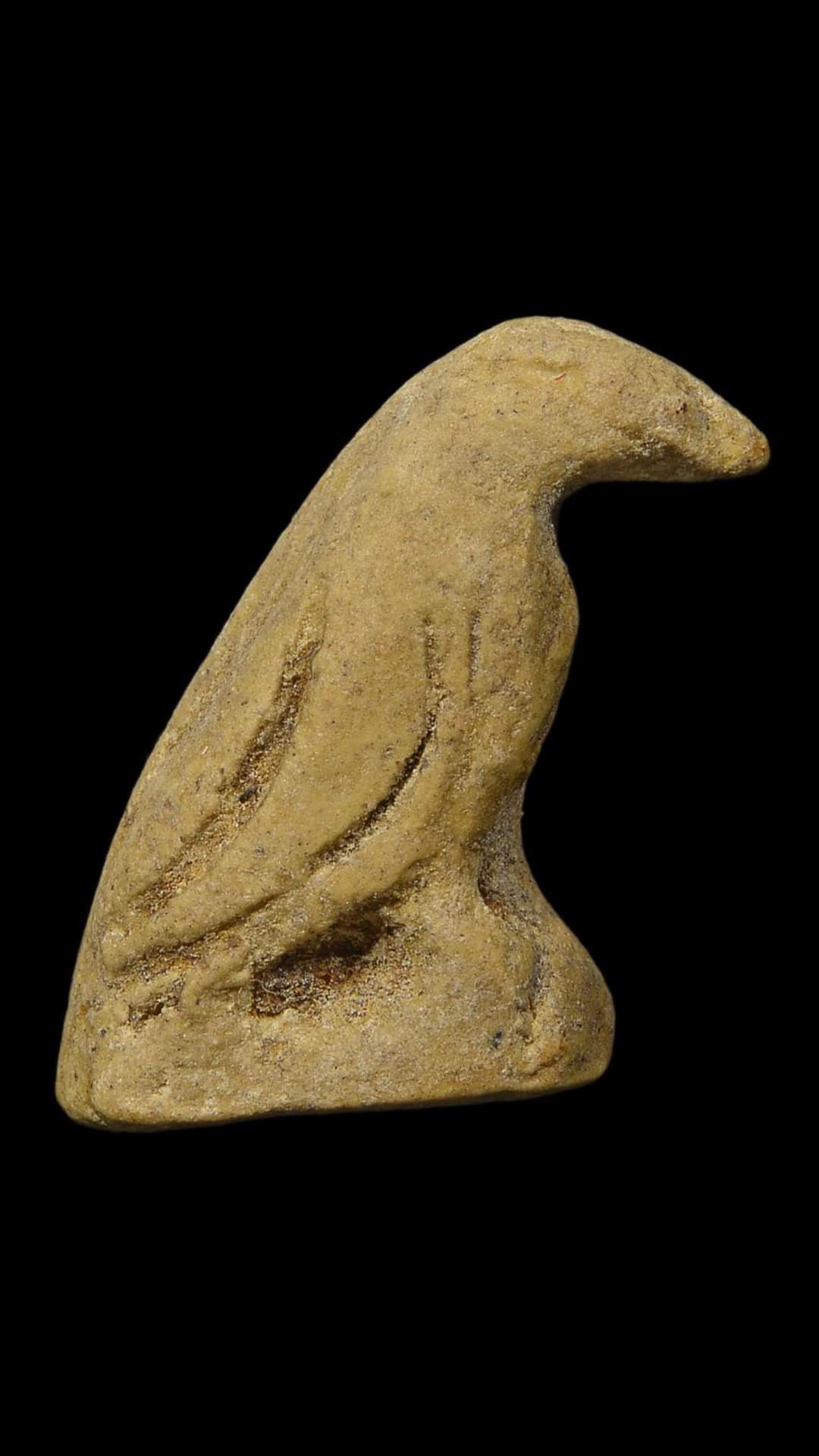 FB_IMG_1664014973213