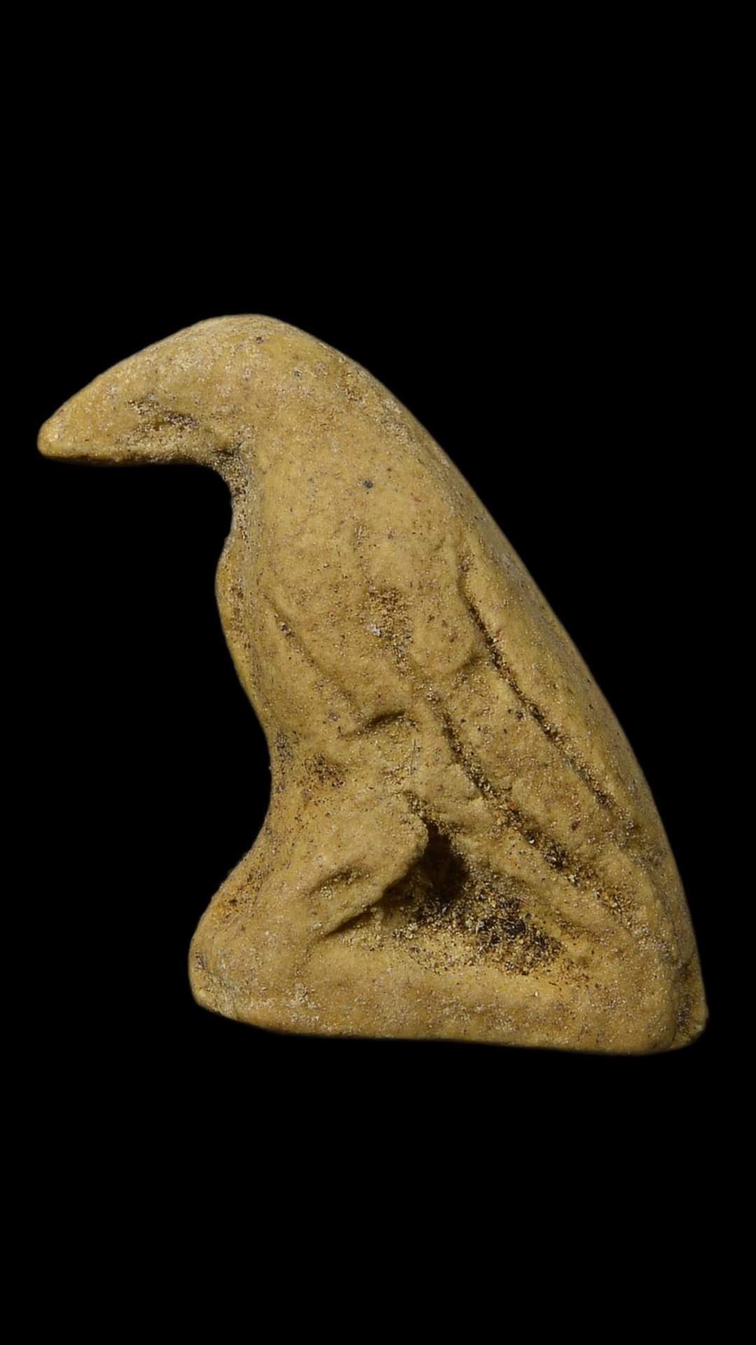 FB_IMG_1664014975872