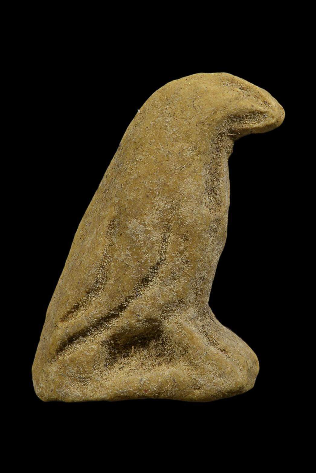 FB_IMG_1664015066455