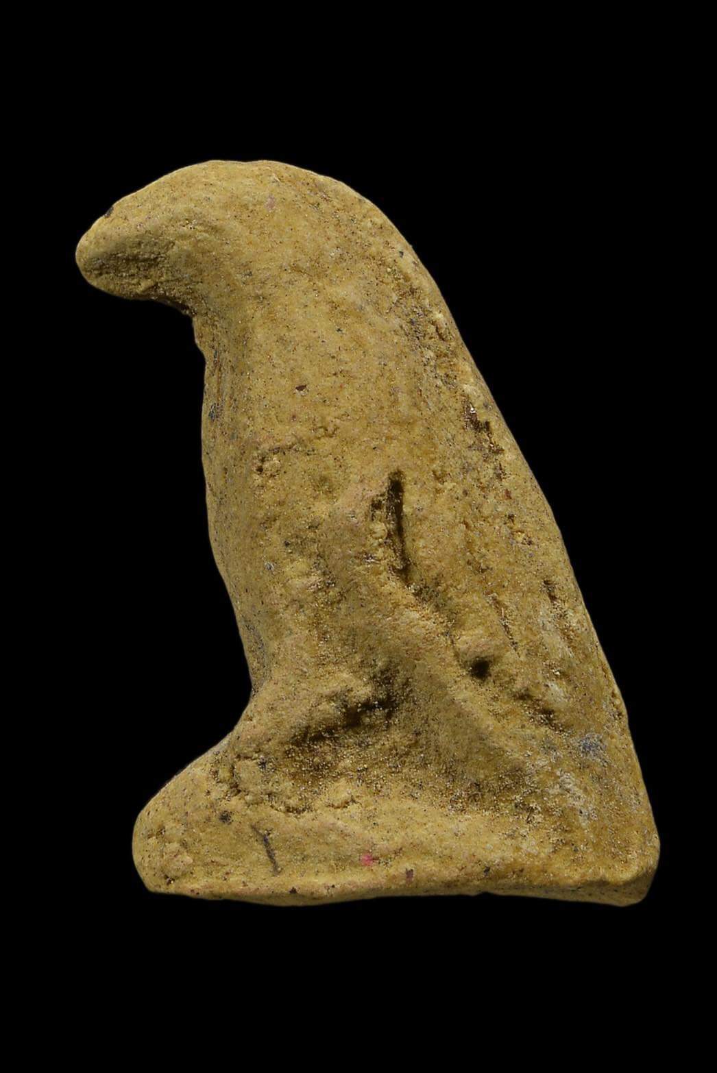 FB_IMG_1664015069267