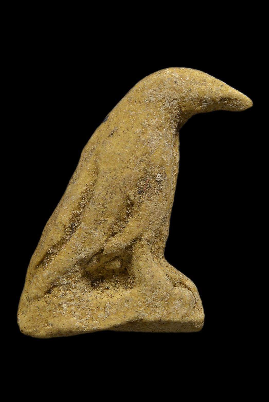 FB_IMG_1664015201611