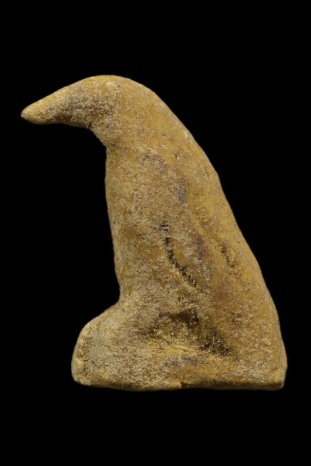 FB_IMG_1664015204429