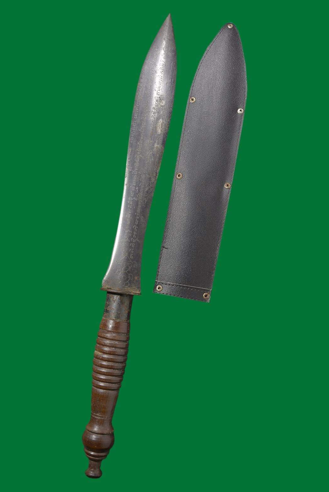 FB_IMG_1664015224287