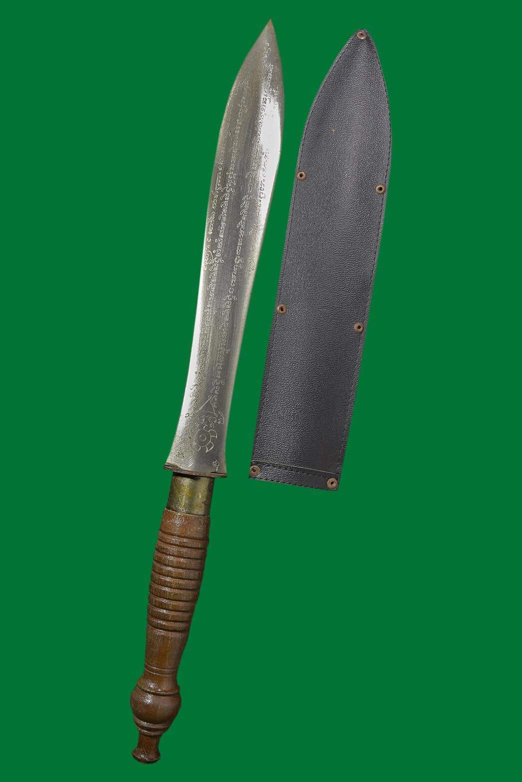 FB_IMG_1664015253005