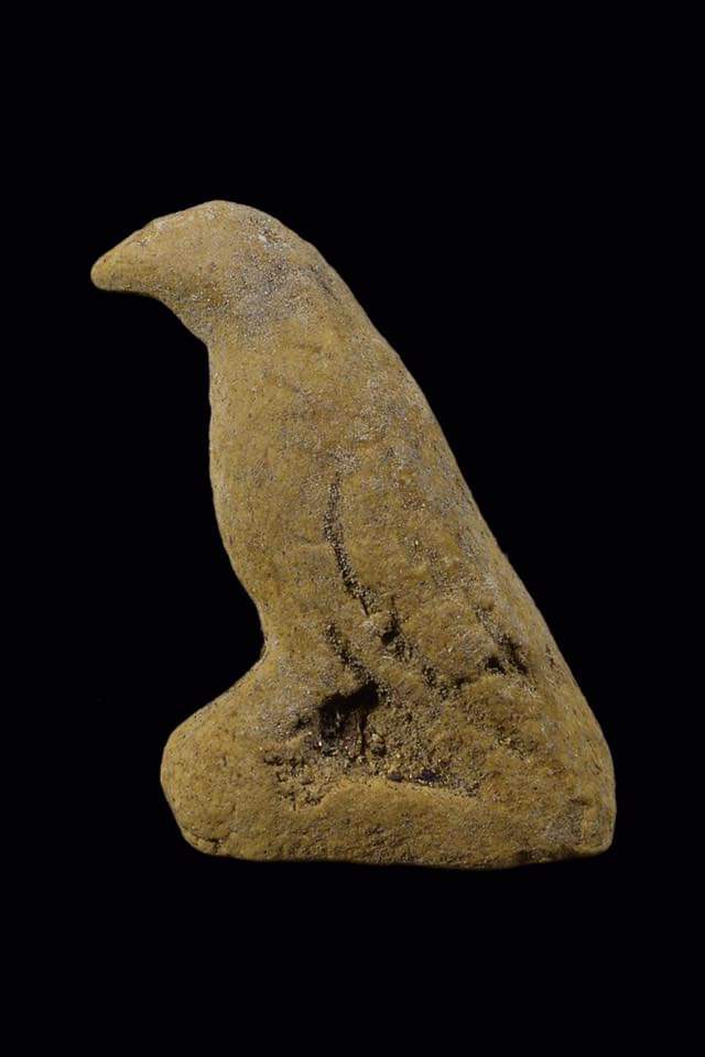 FB_IMG_1664015382034