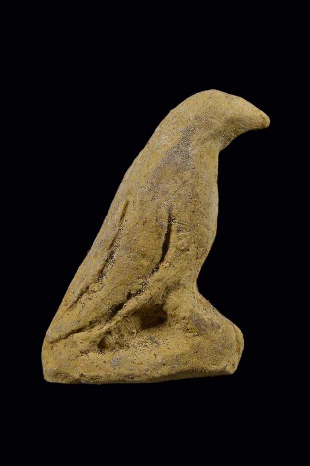 FB_IMG_1664015384566