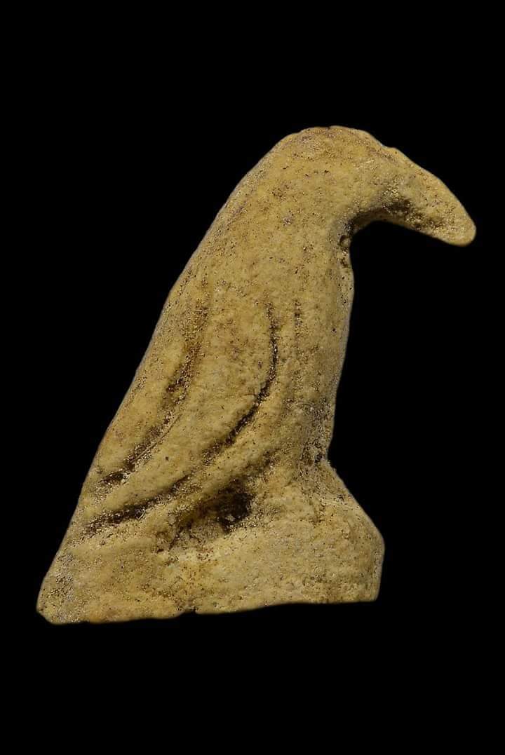 received_3015851088661491