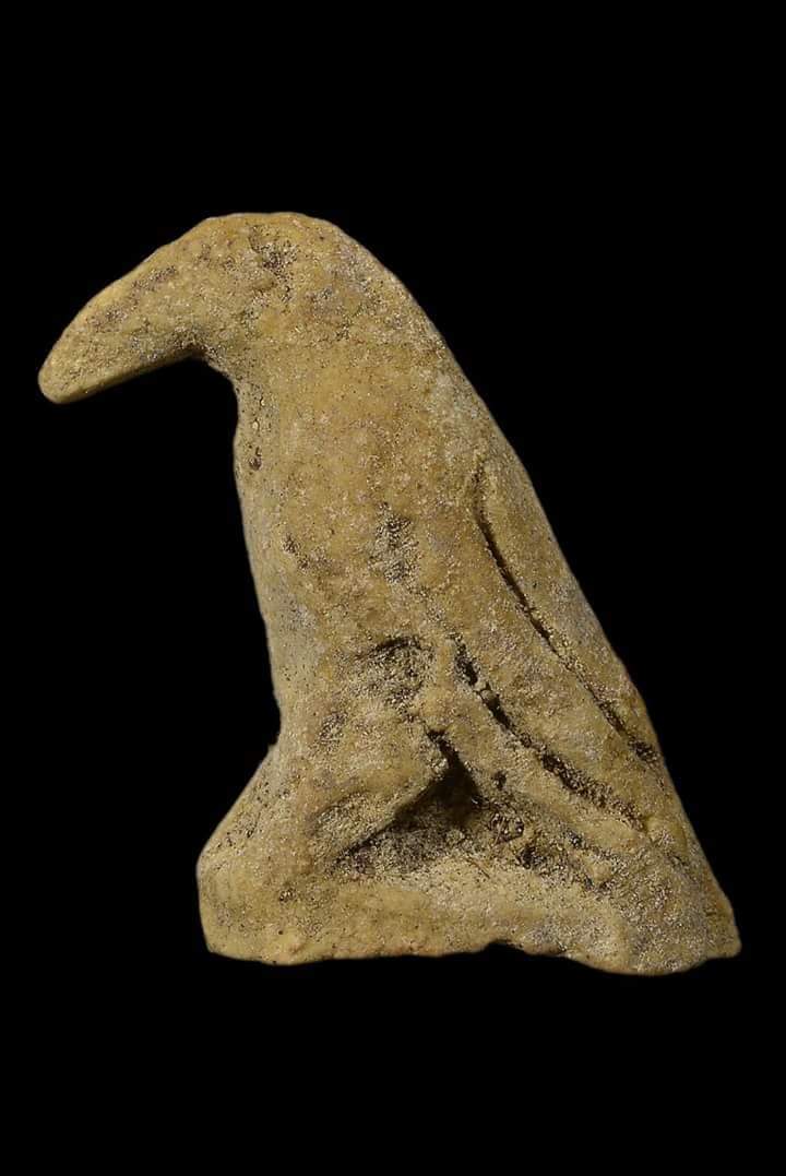 received_785181322699187