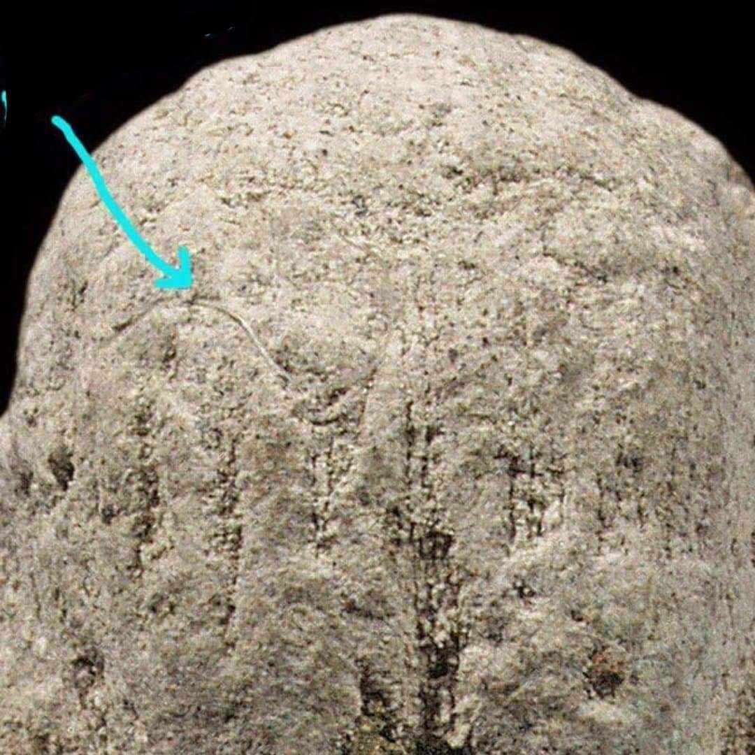 received_1170721957135420