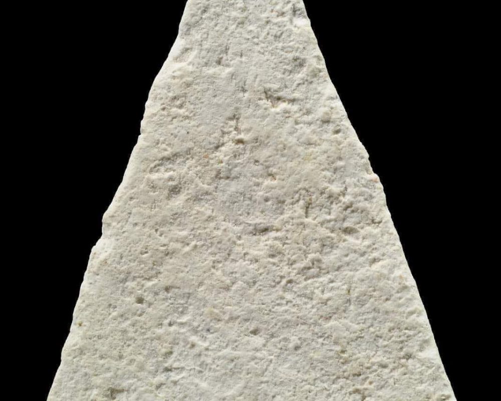 received_1353122271758548