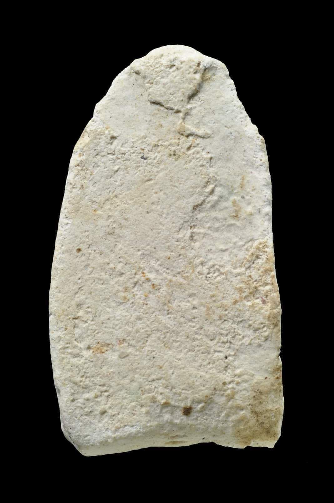 received_629504538879591