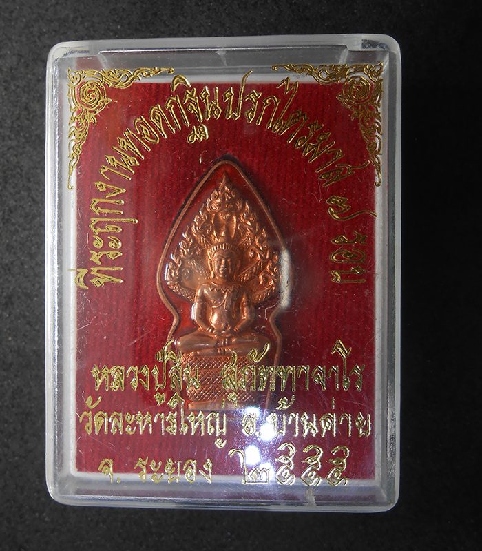 DSCN4751