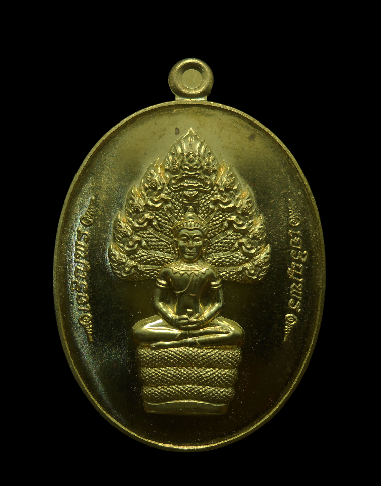 DSCN4799-PhotoRoom.png-PhotoRoom