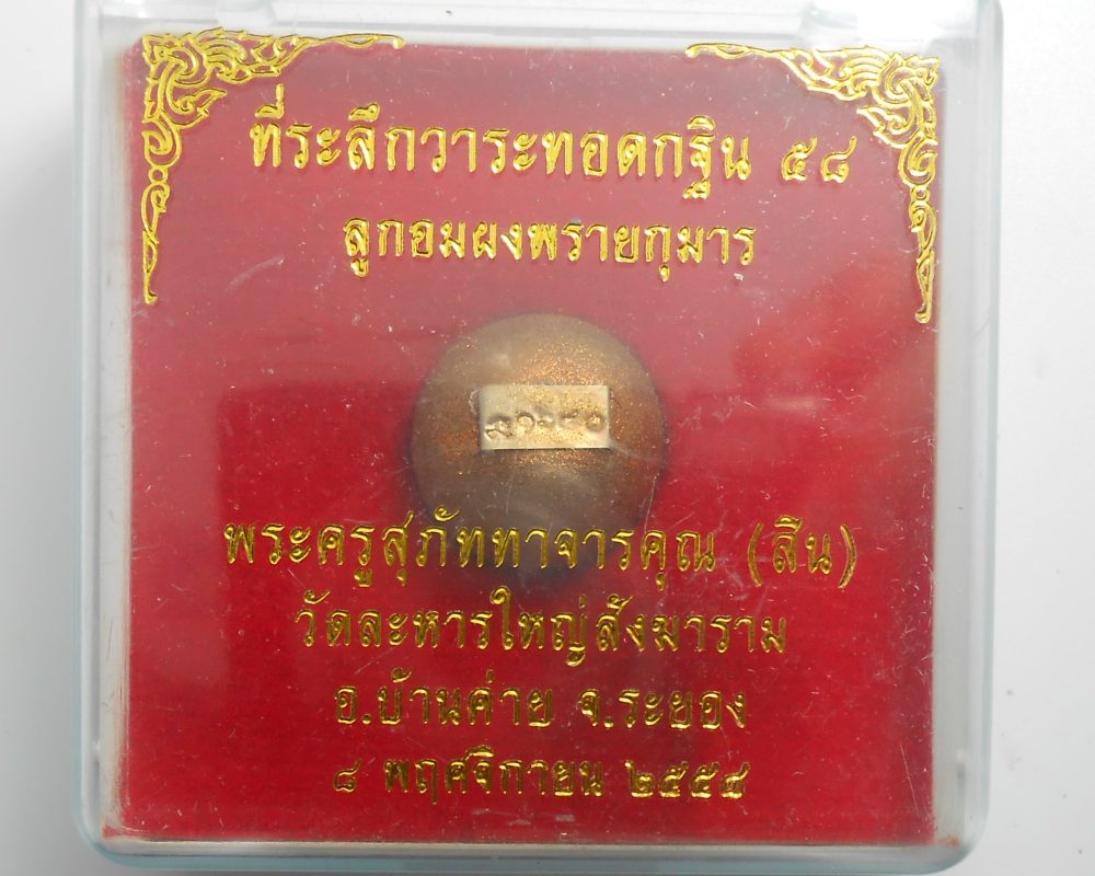 DSCN5223