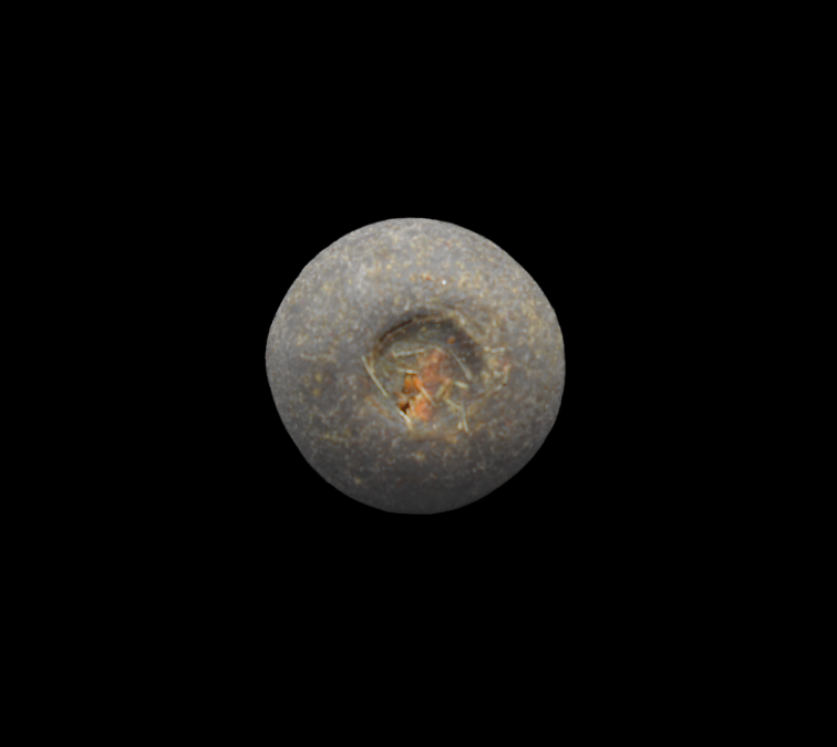 DSCN5238-PhotoRoom.png-PhotoRoom