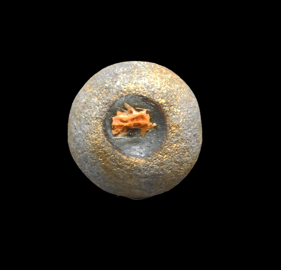 DSCN5243-PhotoRoom.png-PhotoRoom