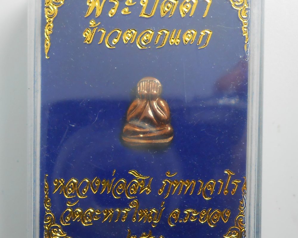 DSCN5246