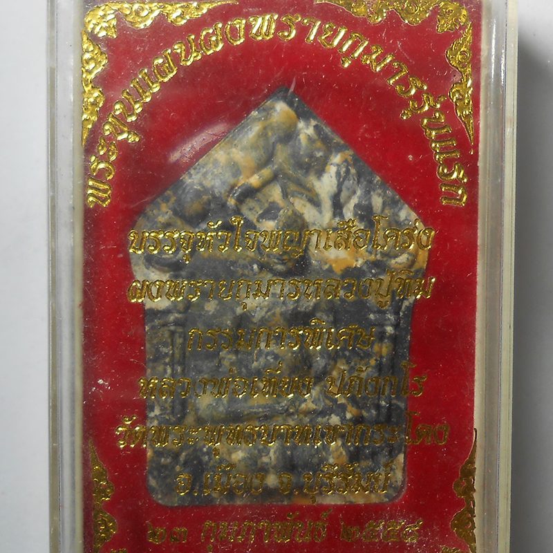 DSCN5295