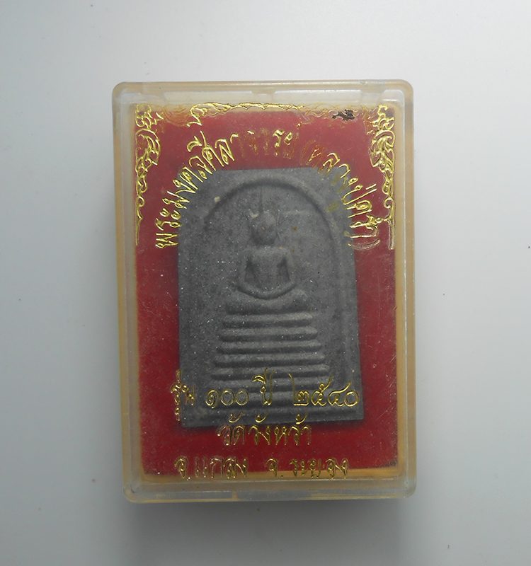 DSCN5400