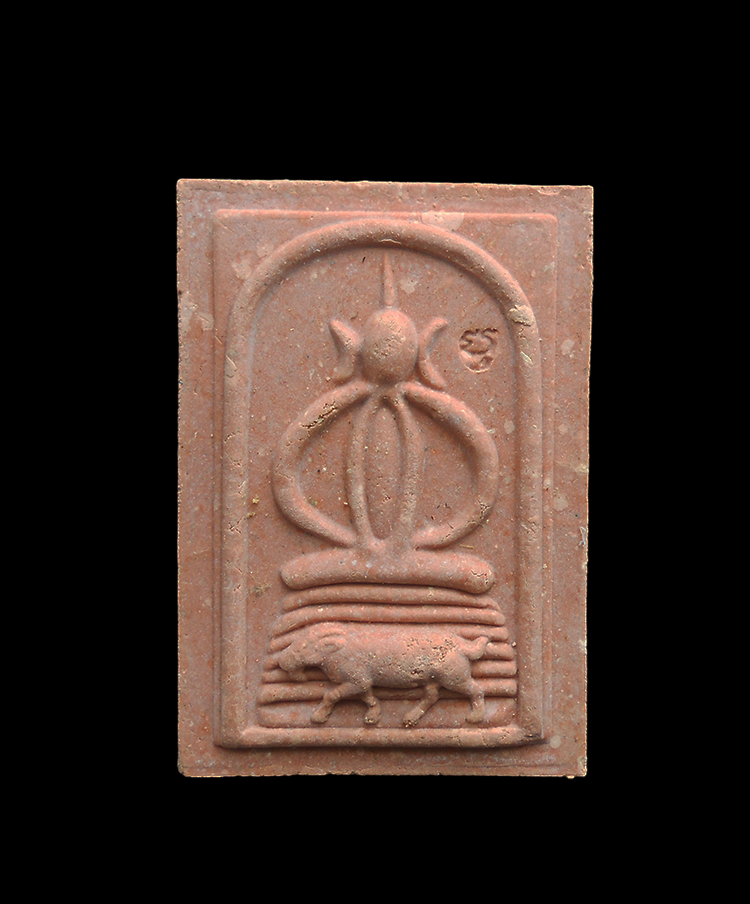 DSCN5457-PhotoRoom.png-PhotoRoom