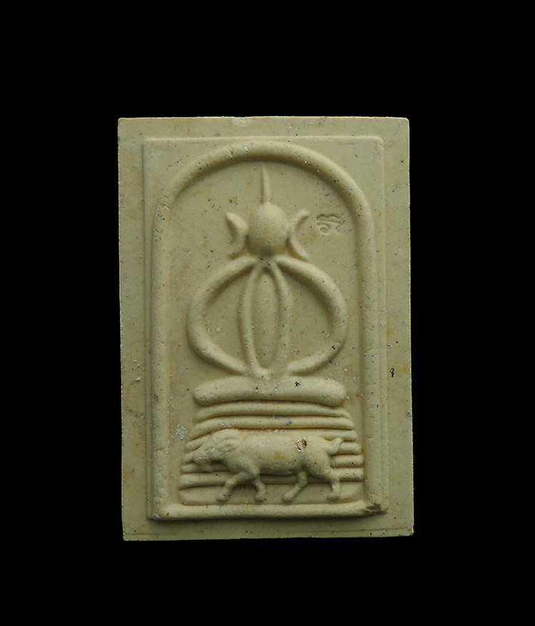 DSCN5459-PhotoRoom.png-PhotoRoom