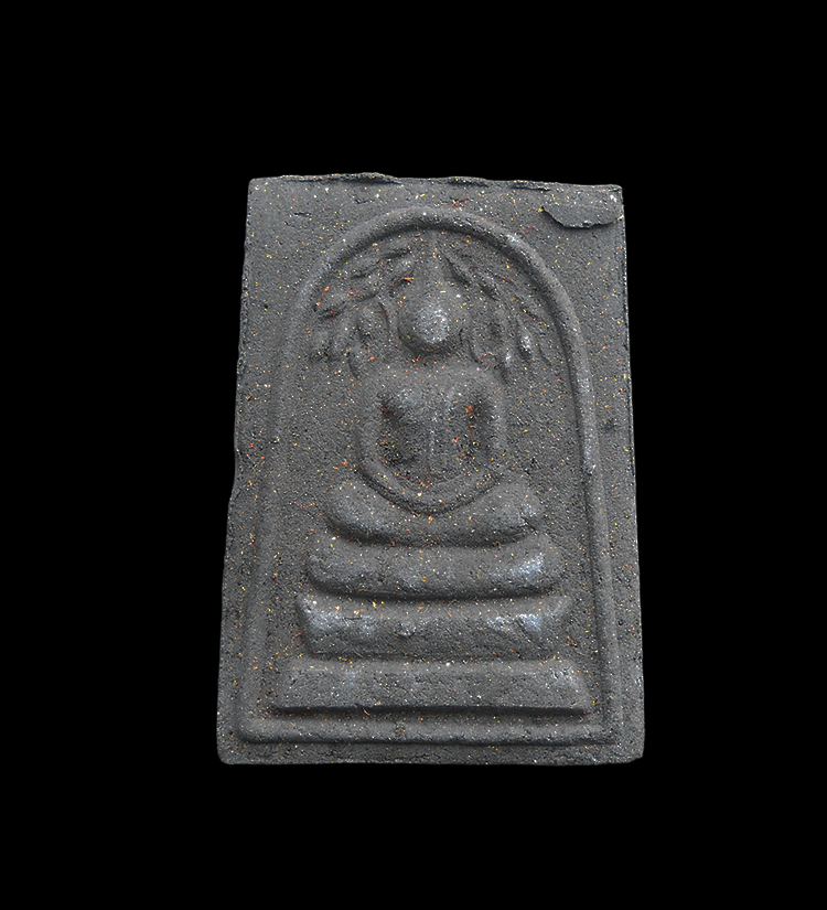 DSCN5469-PhotoRoom.png-PhotoRoom