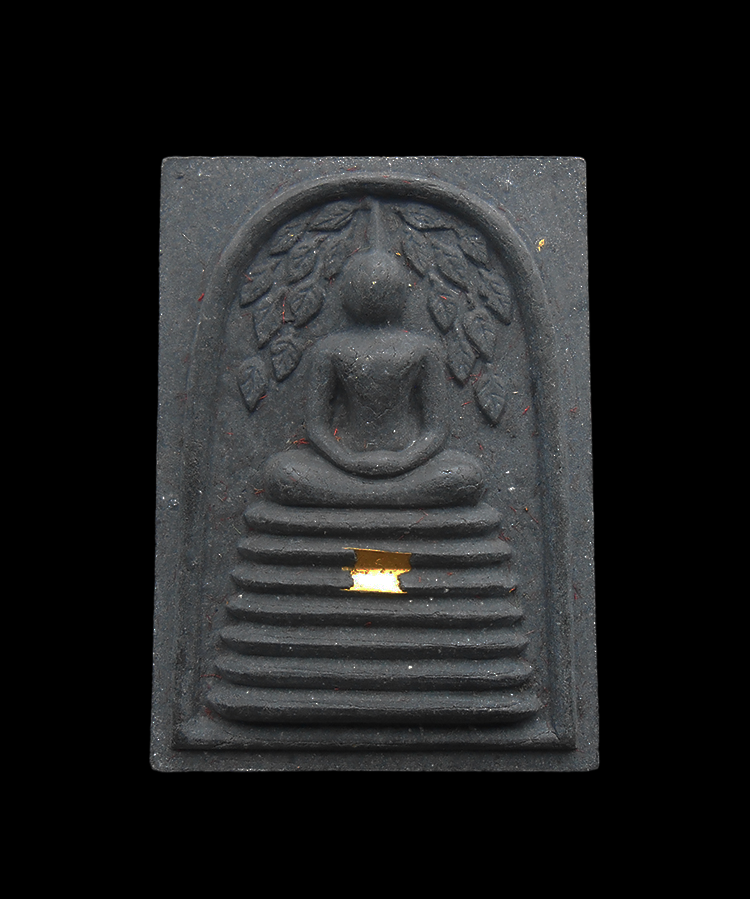 DSCN5479-PhotoRoom.png-PhotoRoom