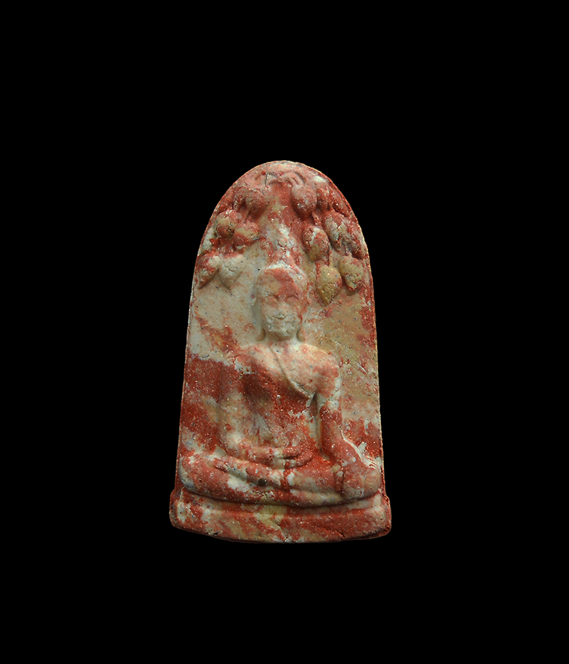 DSCN5533-PhotoRoom.png-PhotoRoom