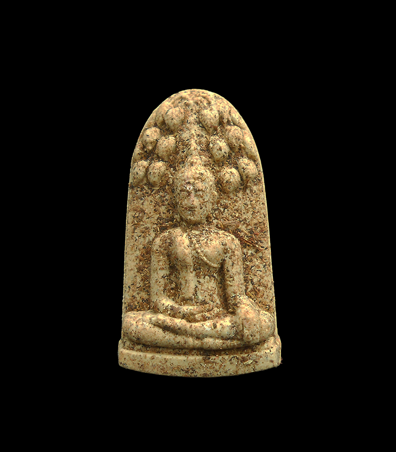 DSCN5535-PhotoRoom.png-PhotoRoom