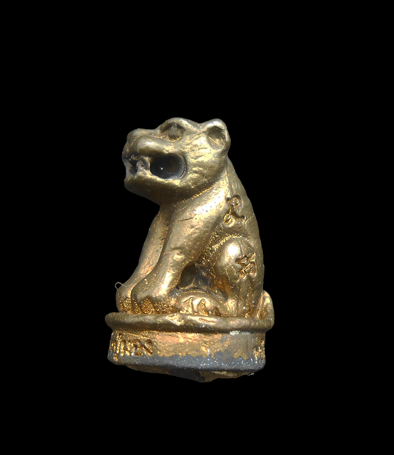 DSCN5537-PhotoRoom.png-PhotoRoom