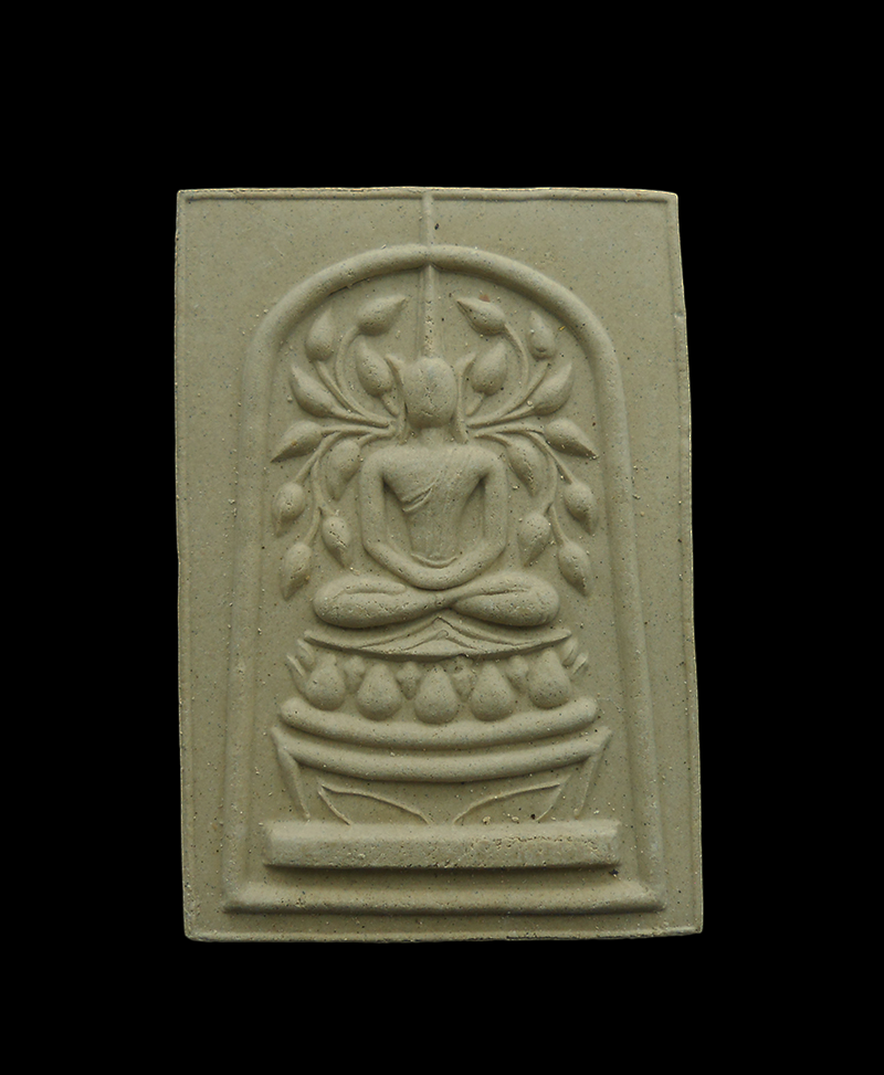 DSCN5594-PhotoRoom.png-PhotoRoom