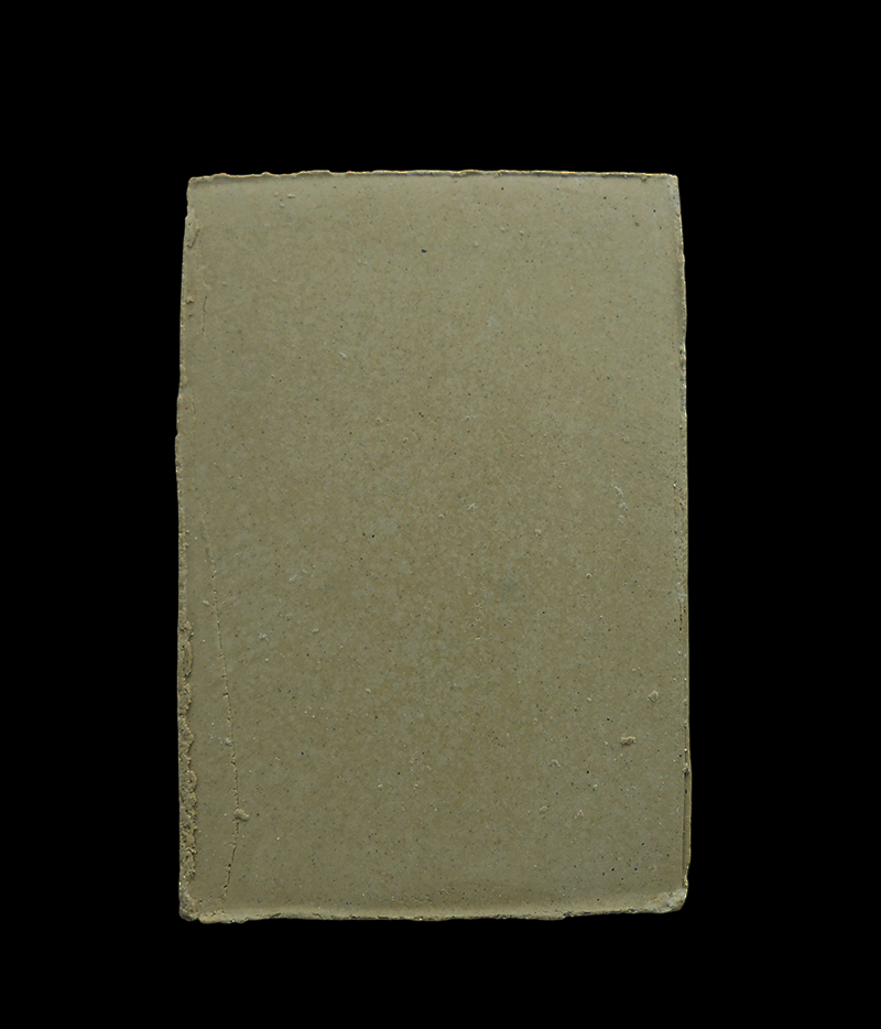 DSCN5595-PhotoRoom.png-PhotoRoom