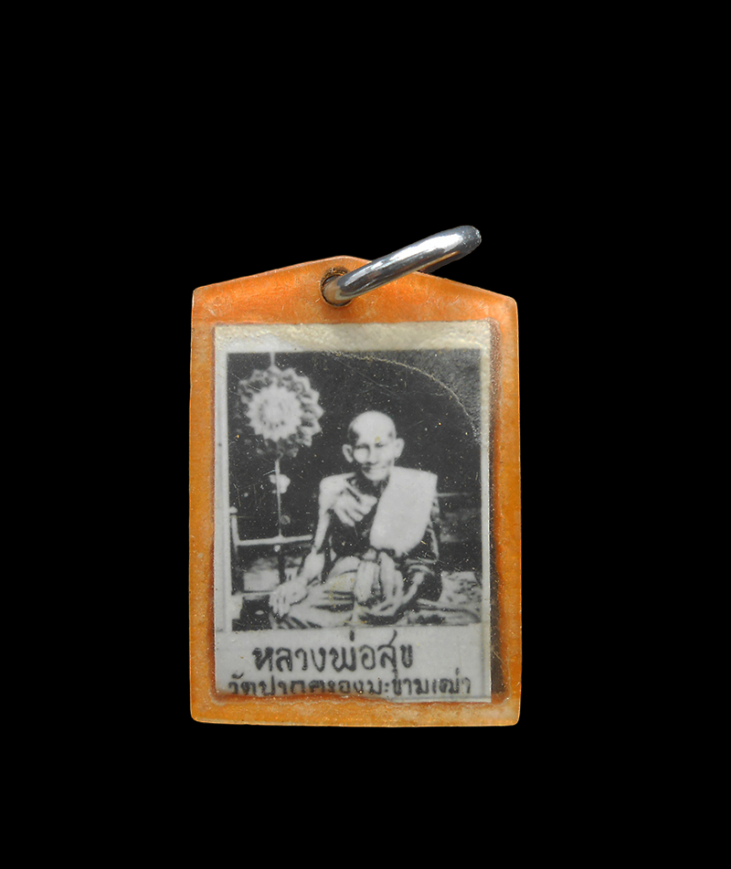 DSCN5698-PhotoRoom.png-PhotoRoom