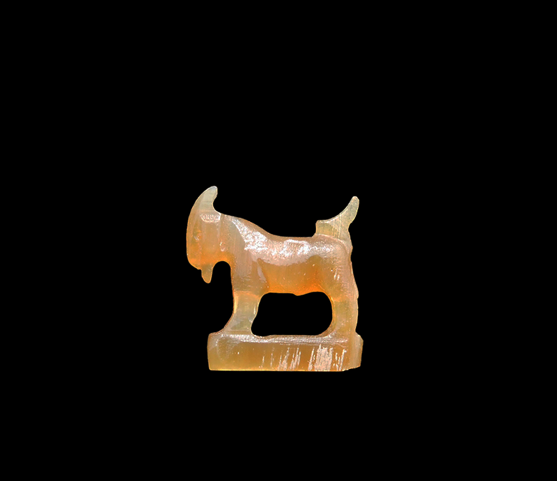 DSCN5747-PhotoRoom.png-PhotoRoom
