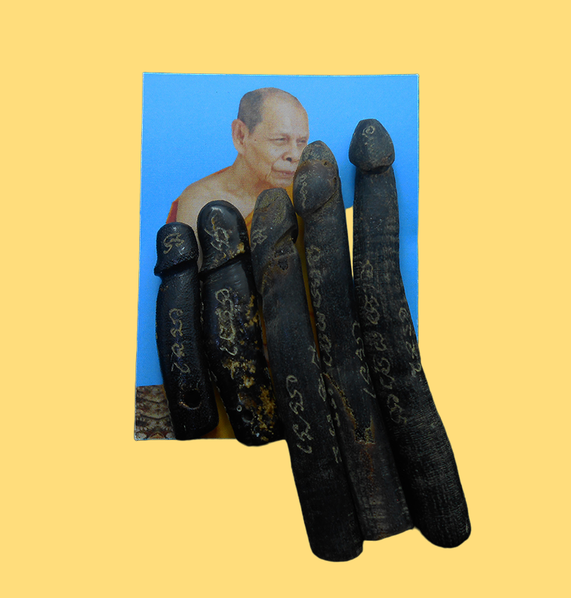 DSCN5750-PhotoRoom.png-PhotoRoom