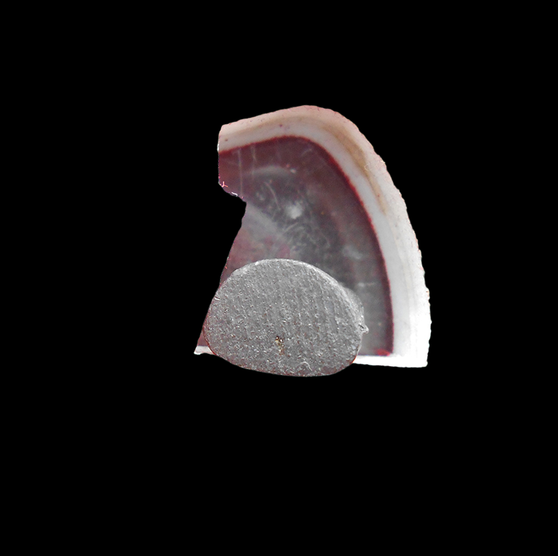 DSCN5767-PhotoRoom.png-PhotoRoom