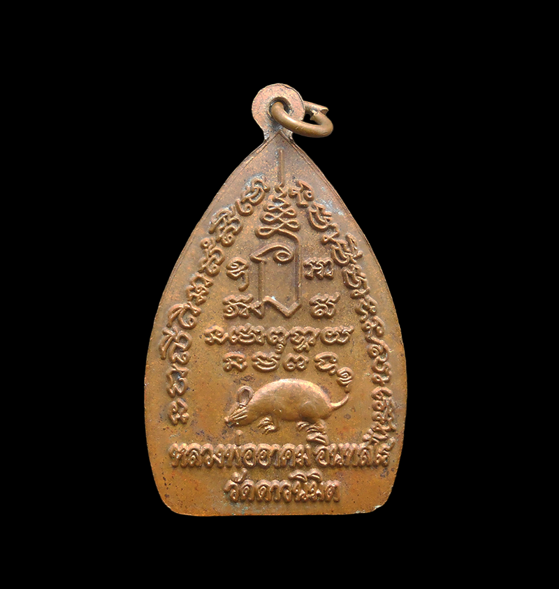 DSCN5803-PhotoRoom.png-PhotoRoom