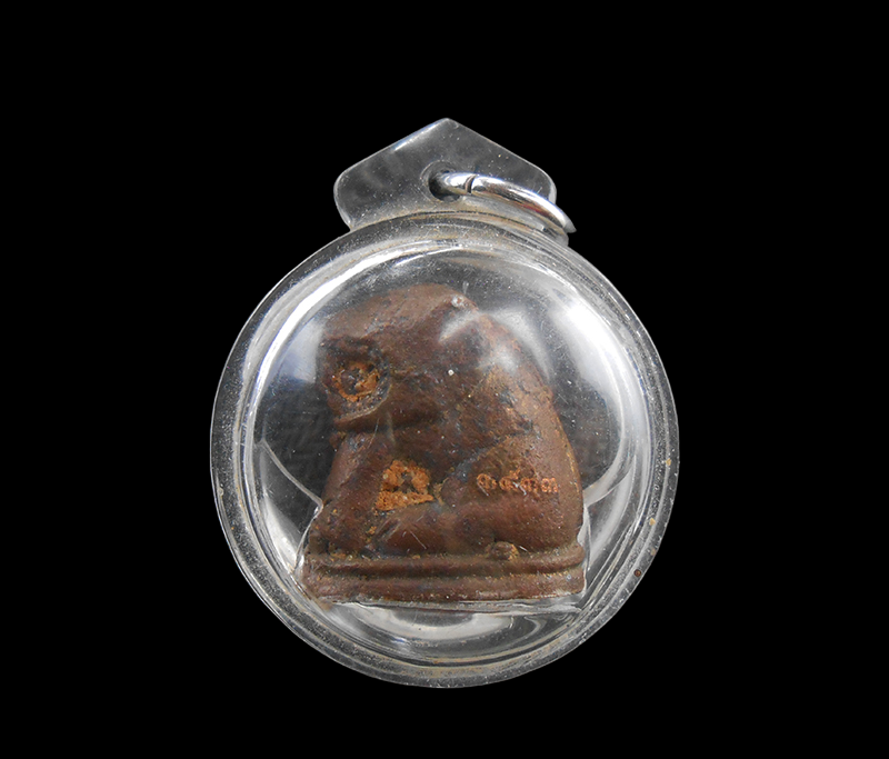 DSCN5886-PhotoRoom.png-PhotoRoom