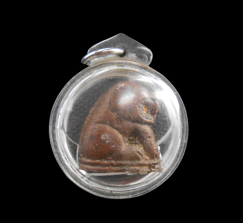 DSCN5887-PhotoRoom.png-PhotoRoom