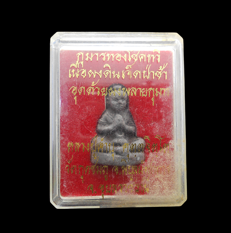 DSCN6011-PhotoRoom.png-PhotoRoom