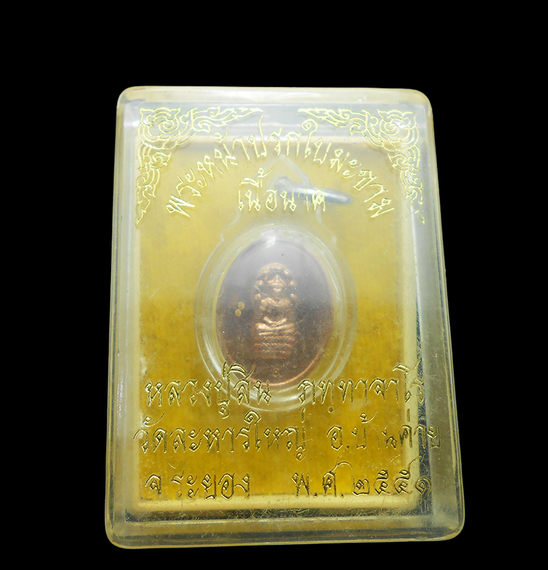 DSCN6018-PhotoRoom.png-PhotoRoom