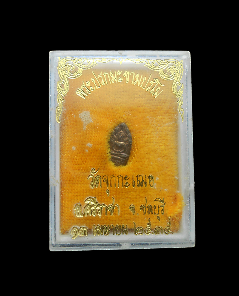 DSCN6020-PhotoRoom.png-PhotoRoom