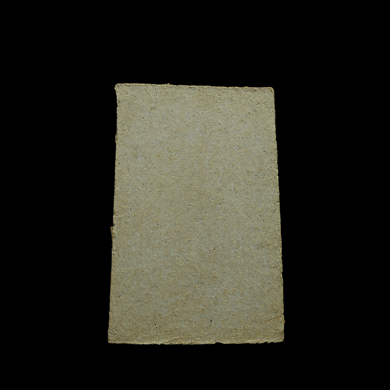 DSCN6102-PhotoRoom.png-PhotoRoom