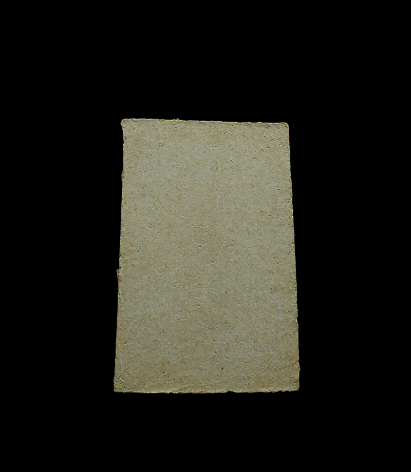 DSCN6102-PhotoRoom.png-PhotoRoom