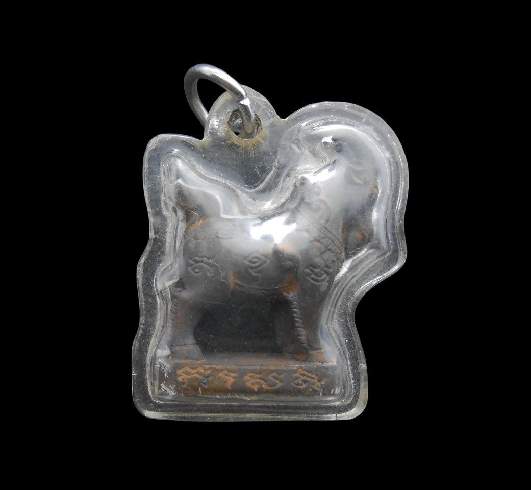 DSCN6123-PhotoRoom.png-PhotoRoom