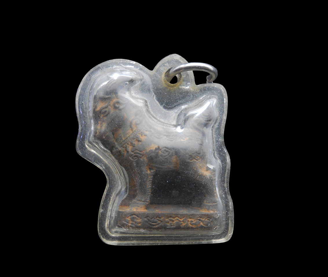 DSCN6124-PhotoRoom.png-PhotoRoom