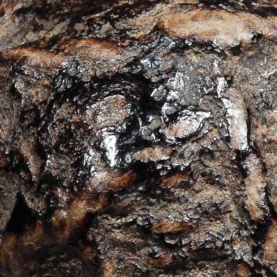 received_979087813183350