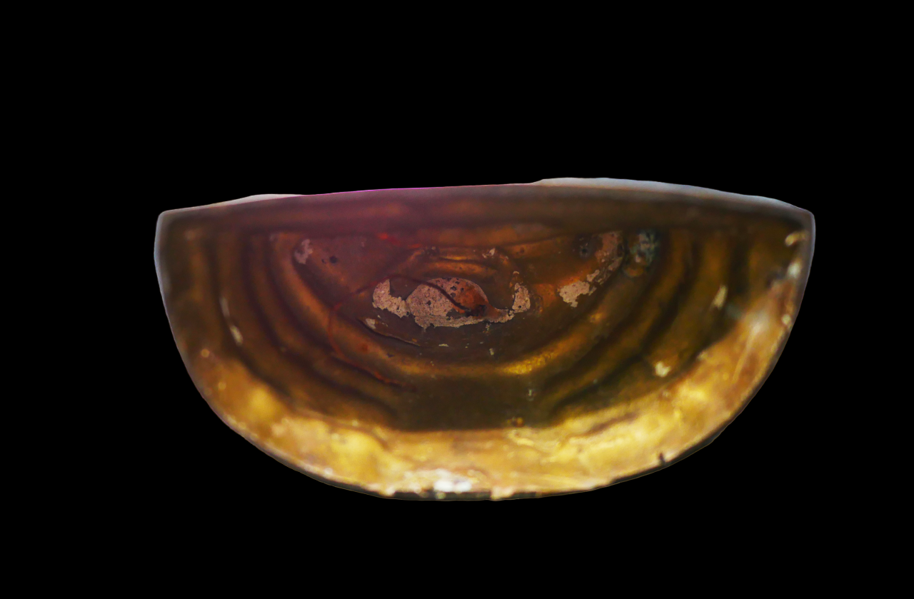 P1140072-1-PhotoRoom.png-PhotoRoom