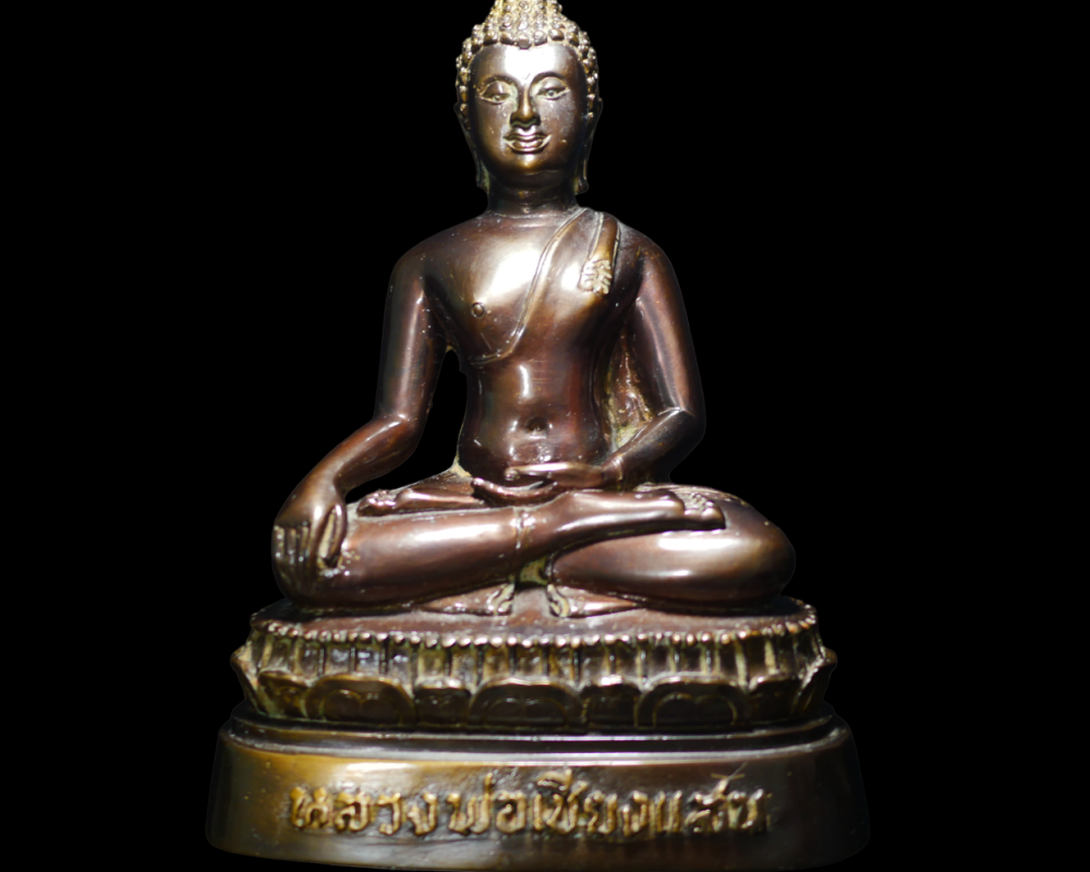 P1140075-PhotoRoom.png-PhotoRoom